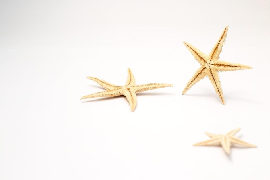 star ocean 2 pa guide