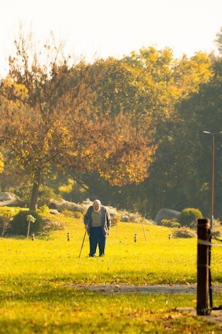 printable sciatica exercise sheet pdf