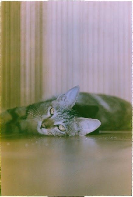 a film theorist’s companion pdf